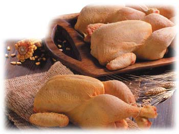 Macellazione polli